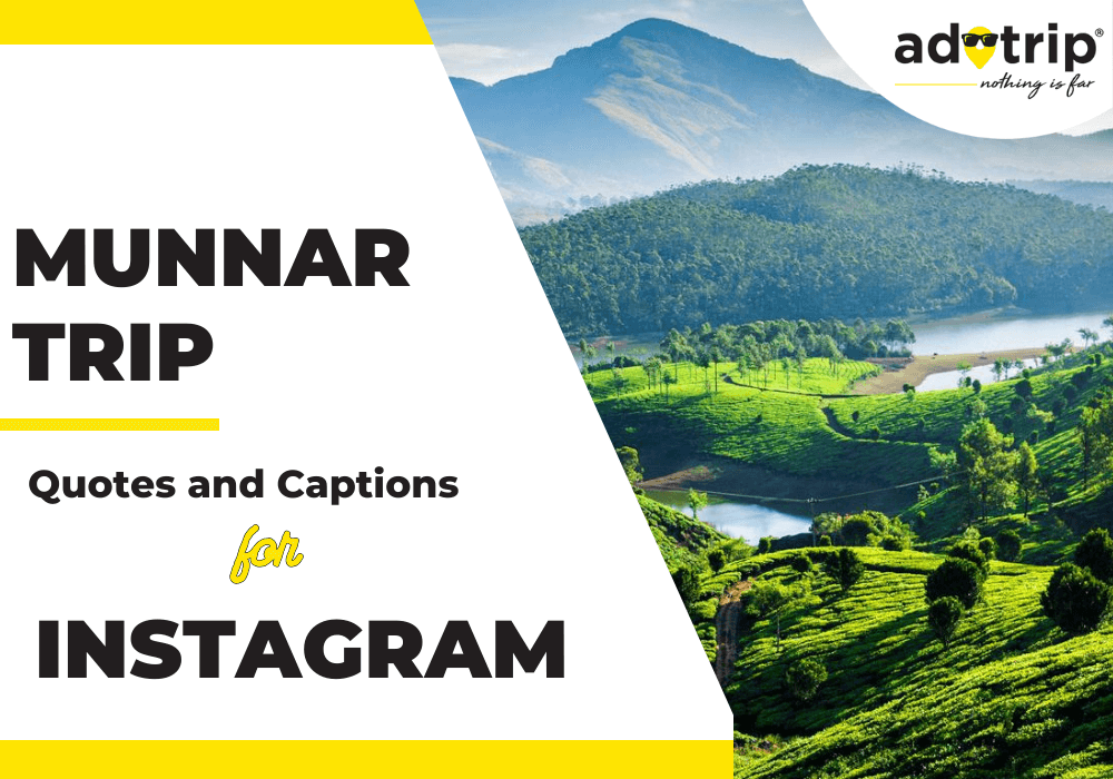 munnar trip quotes and captions for instagram